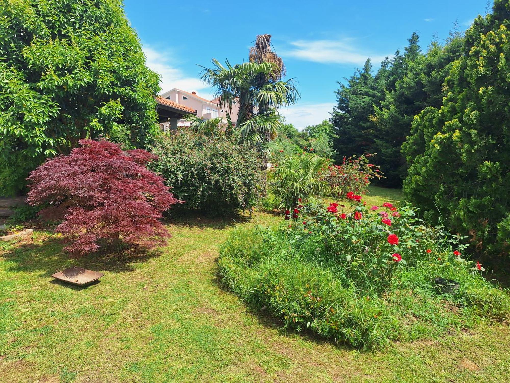 Villa Fiumana Rijeka Kamer foto